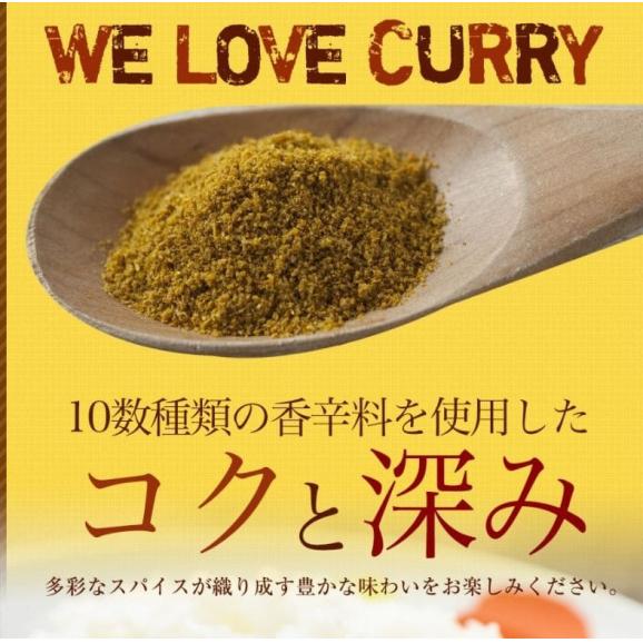 松屋 カレー30食（伝説のオリジナルカレー180ｇ×30個）【冷凍】カレーの具 冷凍食品 セール05