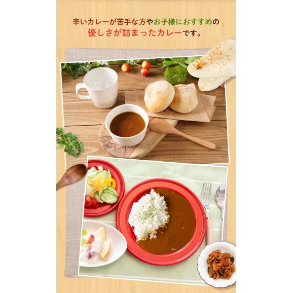 【松屋】マイカリー食堂『プレーンカレー』×20個（辛い物が苦手な方・お子様にも食べやすい「やさしい味」！）02