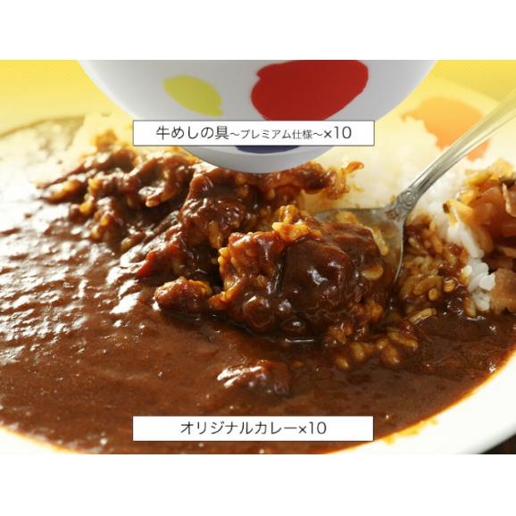 松屋 牛めしの具(プレミアム仕様)135g×10個と伝説のオリジナルカレー10個 牛丼【冷凍】牛丼 ぎゅうどん 牛丼の具 ぎゅうどんのぐ 冷凍食品 セール04