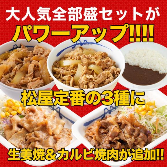 松屋　牛めし/豚めし/カレー/カルビ焼肉/豚生姜焼 スーパー全部盛り20食セット02