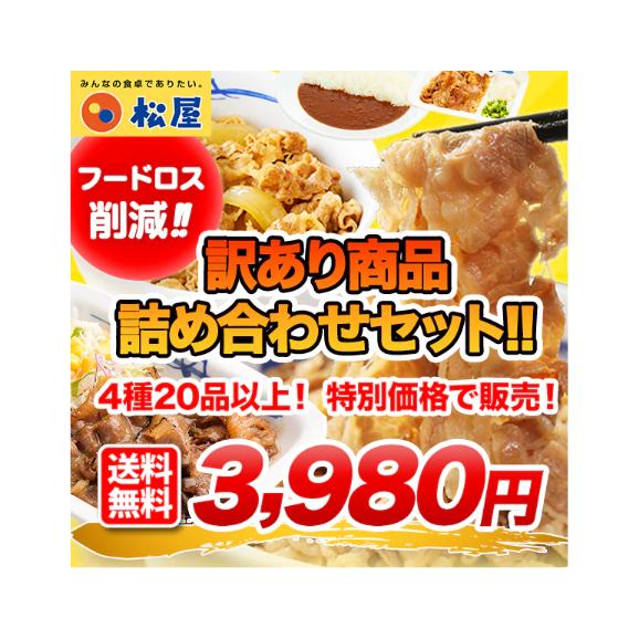 ☆30食限定☆「ザ・訳あり商品詰合せセット」 4種20品の詰合せ ☆30食限定☆「ザ・訳あり商品詰合せセット」 4種20品の詰合せ
