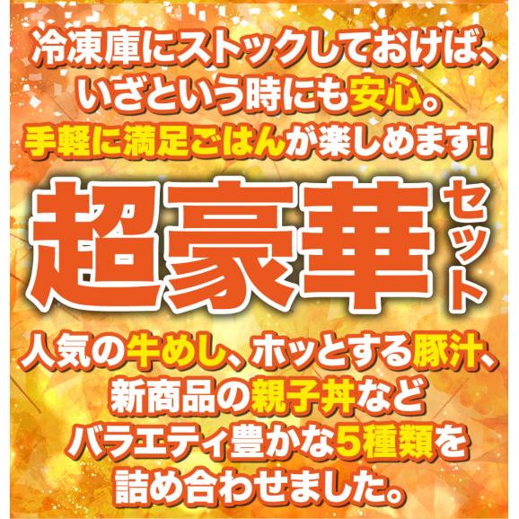 グルメセット5種20食(親子丼、豚汁、米国産牛めしの具、ｵﾘｼﾞﾅﾙｶﾚｰ、牛めしﾊﾞｰｶﾞｰ各4食)03