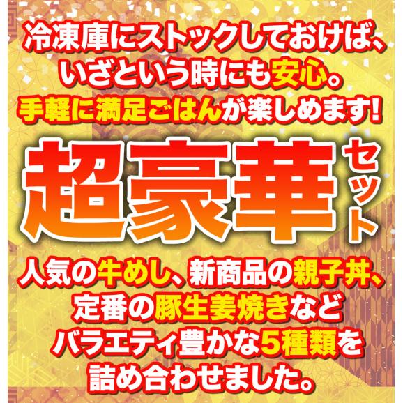 満喫セット5種20食(親子丼、豚生姜焼き、米国産牛めしの具、ｵﾘｼﾞﾅﾙｶﾚｰ、牛めしﾊﾞｰｶﾞｰ各4食)03