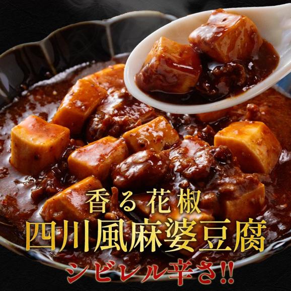 【松屋】四川風麻婆豆腐22食入り (四川風 中華料理 シビ辛 まつや グルメ 冷凍 冷凍食品 送料無料 おかず 惣菜 業務用 お弁当 お試し 食事 おつまみ お取り寄せ レンジ お惣菜 防災食)02