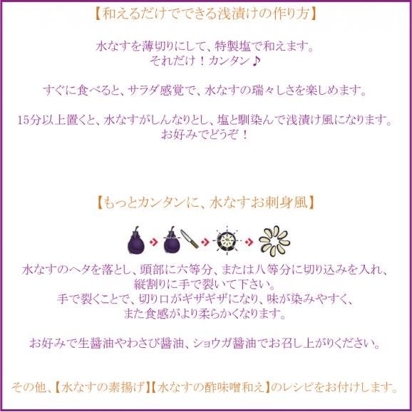 【訳あり】本場泉州の水なす９個と特製味塩付き！　沖縄県にはお届けできません。04