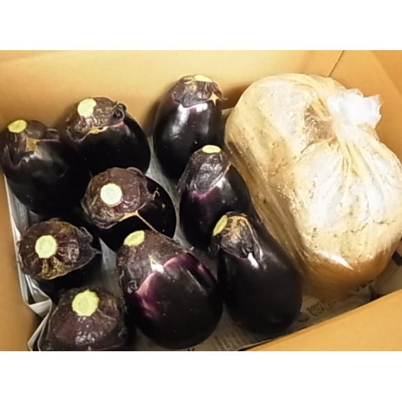 【訳あり】本場泉州の水なす9個と漬け物専門店のぬか床と特製塩付き　【沖縄県にはお届けできません】02