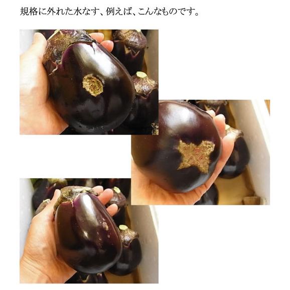 【訳あり】本場泉州の水なす9個と漬け物専門店のぬか床と特製塩付き　【沖縄県にはお届けできません】03
