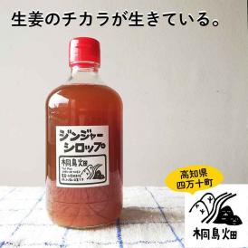 桐島畑のジンジャーシロップ　480g入り　高知県四万十川町産しょうが　生姜シロップ　しょうがシロップ