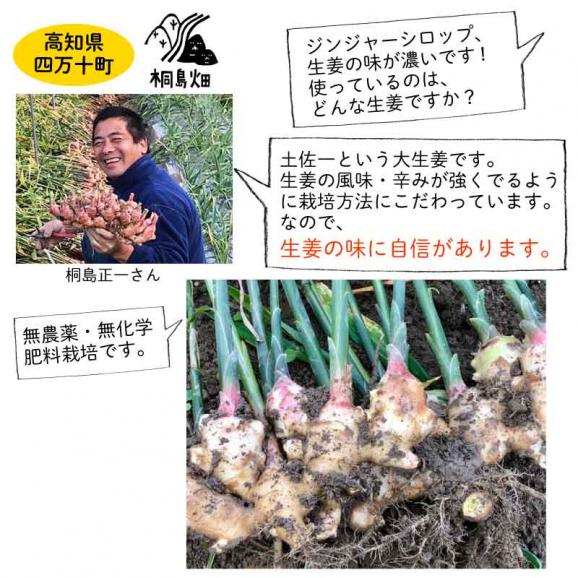 桐島畑のジンジャーシロップ　480g入り　高知県四万十川町産しょうが　生姜シロップ　しょうがシロップ02