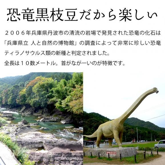 予約受付１割引き １０月１５日まで 丹波恐竜黒枝豆1キロ 250g袋×4 兵庫県産 黒枝豆 1kg 産地直送03