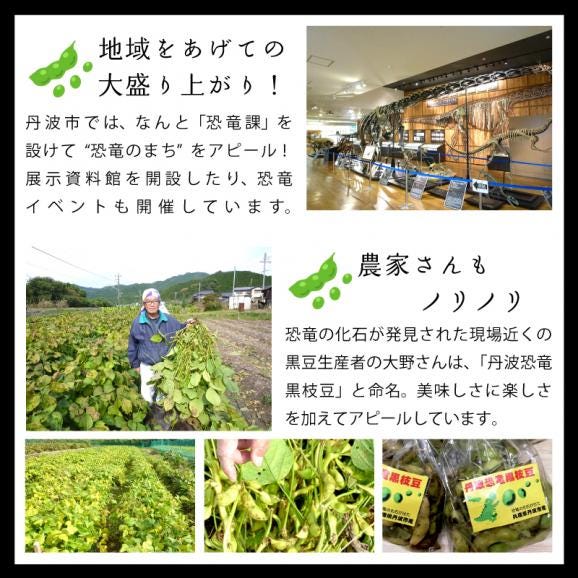 予約受付１割引き １０月１５日まで 丹波恐竜黒枝豆1キロ 250g袋×4 兵庫県産 黒枝豆 1kg 産地直送05