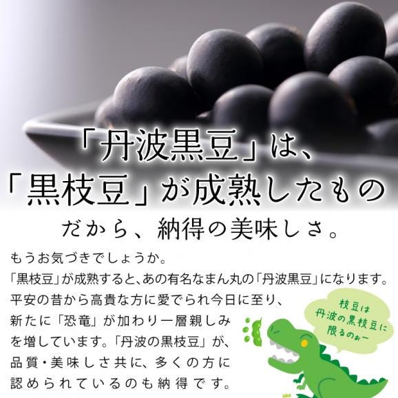予約受付１割引き １０月１５日まで 丹波恐竜黒枝豆1キロ 250g袋×4 兵庫県産 黒枝豆 1kg 産地直送06