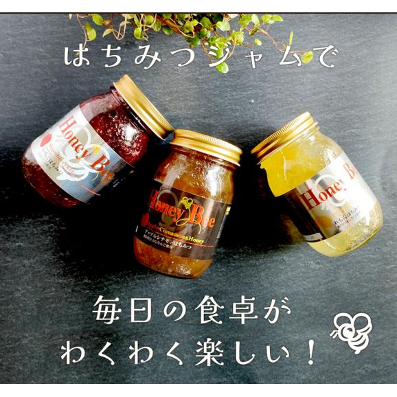 はちみつ フルーツ ジャム セット ギフト 3本 砂糖不使用 プレサーブ 540g 520g 520g オリゴ糖 蜂蜜 ハチミツ いちご イチゴ ストロベリー アップル りんご シナモン レモン 03