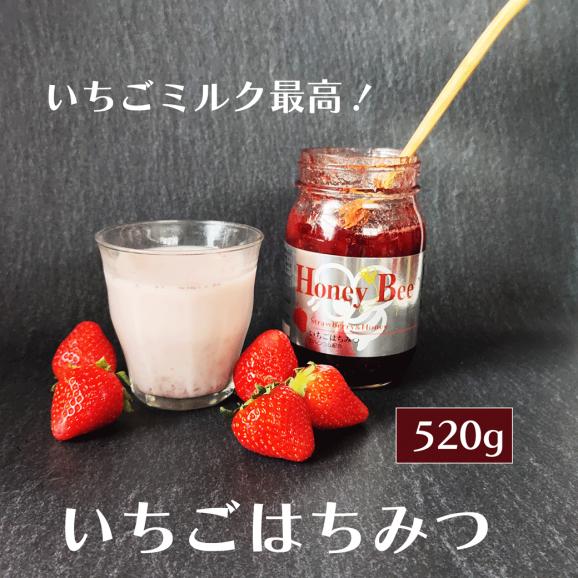 はちみつ フルーツ ジャム セット ギフト 3本 砂糖不使用 プレサーブ 540g 520g 520g オリゴ糖 蜂蜜 ハチミツ いちご イチゴ ストロベリー アップル りんご シナモン レモン 04
