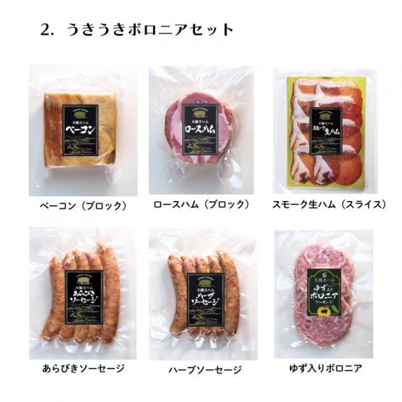 ギフト ハム 2024 ギフト 国産豚 うきうきボロニアセット 天橋立セットC 丹後フーズ あらびき ソーセージ ロースハム ベーコン ブロック スモーク 生ハム 詰め合わせ 全6種 グルメ 贈り物04