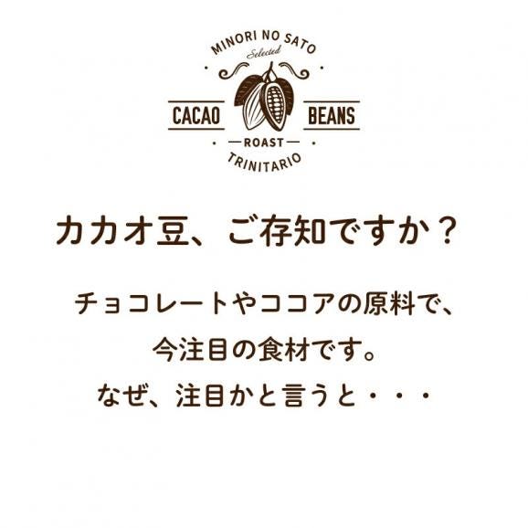 ローストカカオ豆 300g スーパーフード 高ポリフェノール 健康サポート お菓子・スイーツ・ドリンク材料 ベトナム・ウガンダ産02
