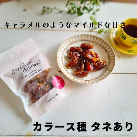 ドライフルーツ デーツ 100g 全3種類 カラース種 クナイジ種 サイヤー種 UAE産 イラン産 無添加 砂糖不使用 なつめやし ナツメヤシ 種なし 種あり 保存食 非常食 備蓄04