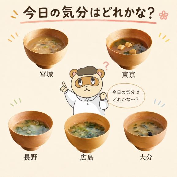 味噌汁専門店 美噌元 日本みそ蔵めぐり 5食 ギフト フリーズドライ味噌汁04