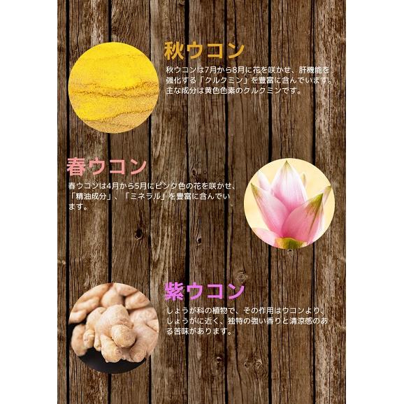 明日もシャキっと！　飲む前に　ウコンファイン（常温・100ml/10本）03