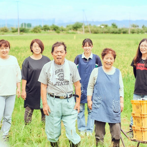 【早期受注割】まほろばの里高畠の肥沃な土壌と盆地の気候がはぐくむ極上の甘みをあなたに　「シャインマスカット 約4キロ（6～8房）05