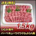 ひむか黒牛バーベキューワイワイセット5人用（1.5ｋｇ）