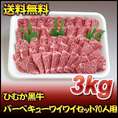 ひむか黒牛バーベキューワイワイセット10人用（3ｋｇ）