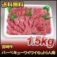 宮崎牛バーベキューワイワイセット5人用（1.5ｋｇ）