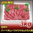 宮崎牛バーベキューワイワイセット10人用（3ｋｇ）