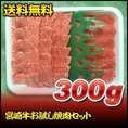 【送料無料】宮崎牛お試し焼肉セット　300ｇ