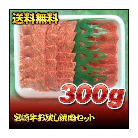 【送料無料】宮崎牛お試し焼肉セット　300ｇ