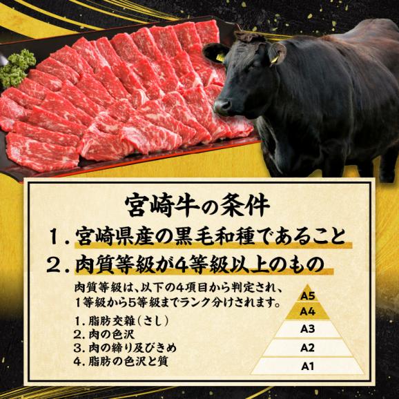【送料無料・産直価格】BBQ宮崎牛焼肉セット5人前(1ｋｇ)04
