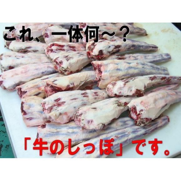 国産牛テール　約1ｋｇ02