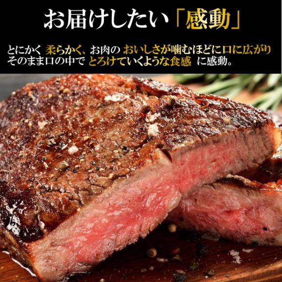 宮崎牛モモステーキ1枚約100ｇ　肉の日02