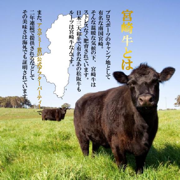 宮崎牛モモステーキ1枚約100ｇ　肉の日03