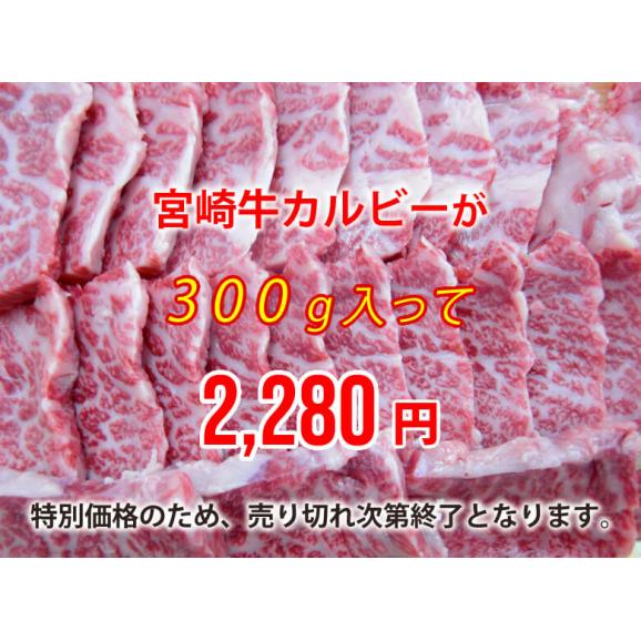 宮崎牛カルビー焼肉　300ｇ02