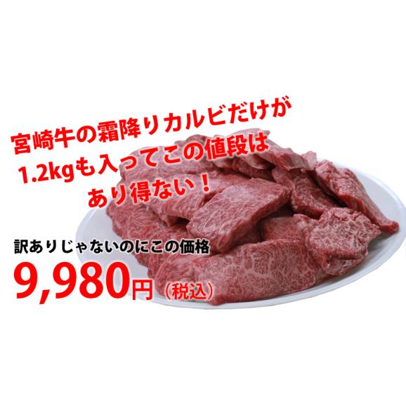 メガ盛り！宮崎牛カルビ1.2Kg【送料無料】A4～A5等級/焼肉/バーベキュー/BBQ/05