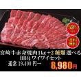 宮崎牛 バーベキュー ワイワイセット 5人用 1.5kg 送料無料 肉 セット 大人数 パーティー 豚肉 鶏肉 ホルモン 焼肉 ウインナー レバー