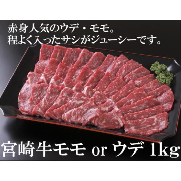 宮崎牛 バーベキュー ワイワイセット 5人用 1.5kg 送料無料 肉 セット 大人数 パーティー 豚肉 鶏肉 ホルモン 焼肉 ウインナー レバー03