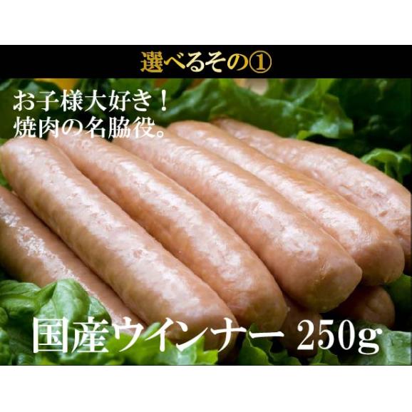 宮崎牛 バーベキュー ワイワイセット 5人用 1.5kg 送料無料 肉 セット 大人数 パーティー 豚肉 鶏肉 ホルモン 焼肉 ウインナー レバー04