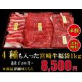 送料無料 日本一 4種も入った 宮崎牛 福袋 1ｋg 牛肉 しゃぶしゃぶ すき焼き 焼肉 ステーキ  宮崎県産 黒毛和牛 冷凍 A4 A5 ランク  和牛 ブランド ギフト プレゼント 肉 国産