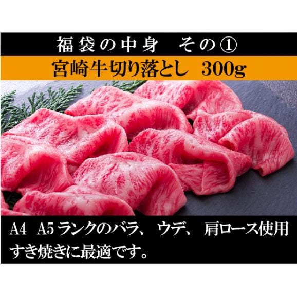 送料無料 日本一 4種も入った 宮崎牛 福袋 1ｋg 牛肉 しゃぶしゃぶ すき焼き 焼肉 ステーキ  宮崎県産 黒毛和牛 冷凍 A4 A5 ランク  和牛 ブランド ギフト プレゼント 肉 国産03