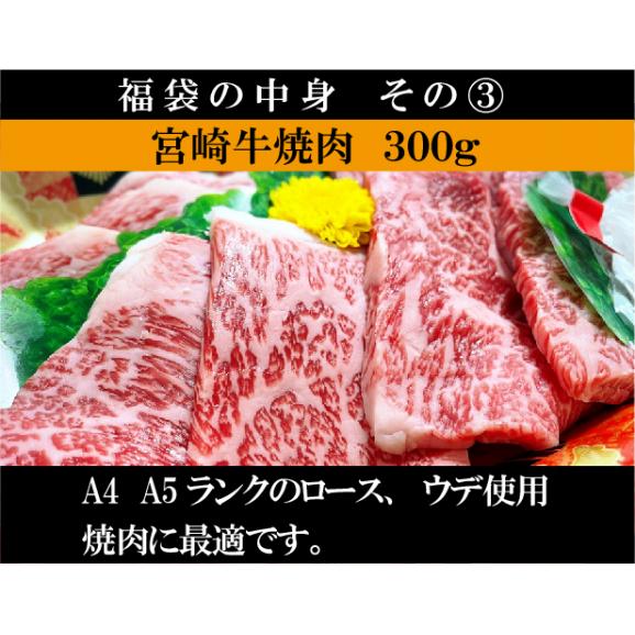 送料無料 日本一 4種も入った 宮崎牛 福袋 1ｋg 牛肉 しゃぶしゃぶ すき焼き 焼肉 ステーキ  宮崎県産 黒毛和牛 冷凍 A4 A5 ランク  和牛 ブランド ギフト プレゼント 肉 国産05
