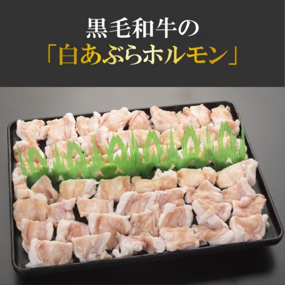 白あぶら国産牛ホルモン 300ｇ×4  ホルモン バーベキュー BBQ 焼肉 牛ホルモン もつ鍋  ホルモン焼き 送料無料02