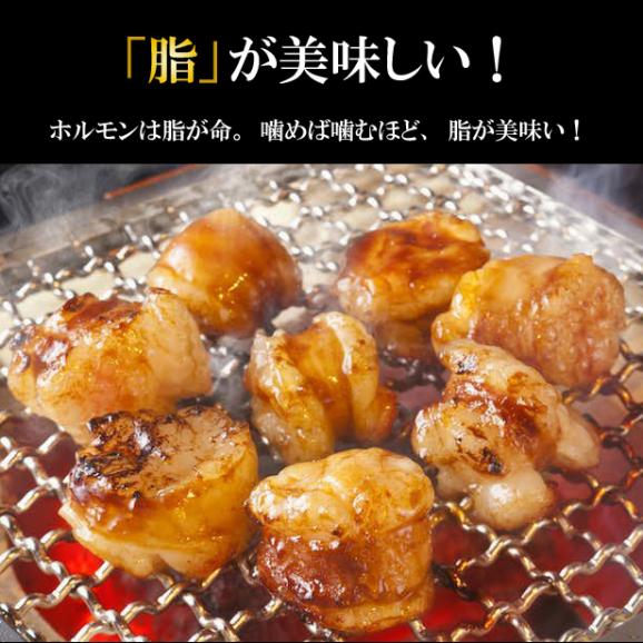 白あぶら国産牛ホルモン 300ｇ×4  ホルモン バーベキュー BBQ 焼肉 牛ホルモン もつ鍋  ホルモン焼き 送料無料03