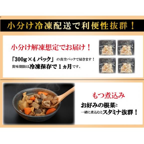 白あぶら国産牛ホルモン 300ｇ×4  ホルモン バーベキュー BBQ 焼肉 牛ホルモン もつ鍋  ホルモン焼き 送料無料06