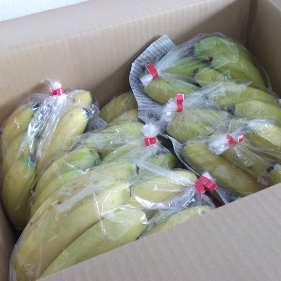 フィリピン産バナナ 約6kg箱06