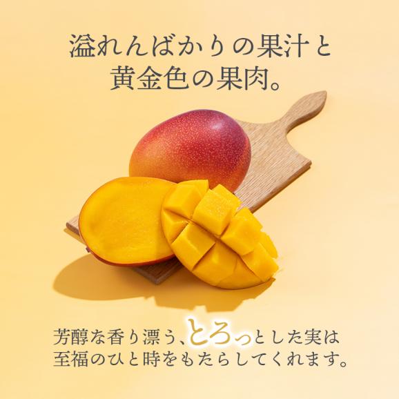 【予約販売】宮崎産完熟マンゴー２Lサイズ２玉03
