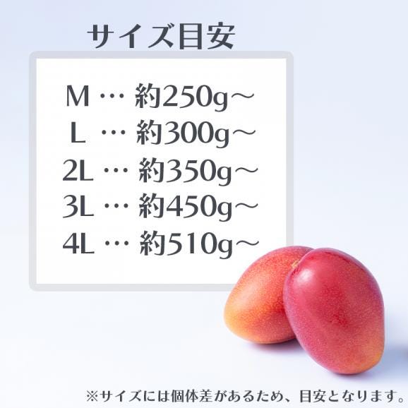 宮崎産完熟マンゴー２Lサイズ3玉06
