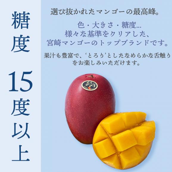 宮崎産完熟マンゴー太陽のタマゴ２L1玉05