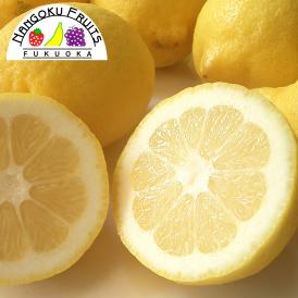 クエン酸が豊富な酸～っぱいレモン！
